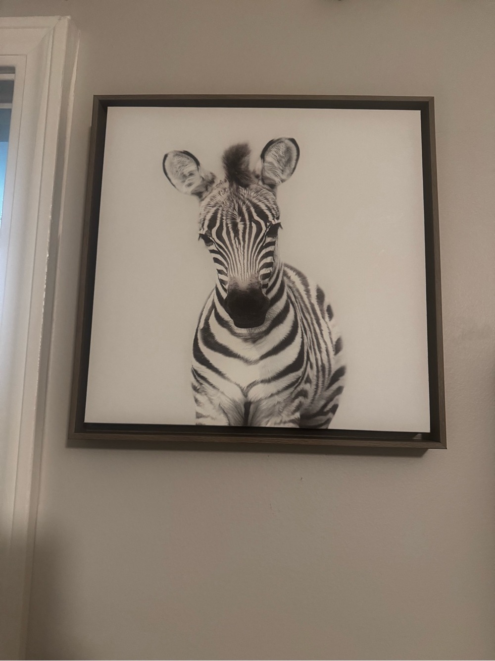 ‘Safari Animals’ by Amy Peterson - Floater Frame Graphic Art Prints (Set of 6) - Picture 6 of 11